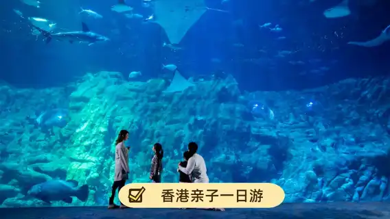 香港太平山頂+維多利亞港一日包車遊【行程自由司兼導遊上門接】