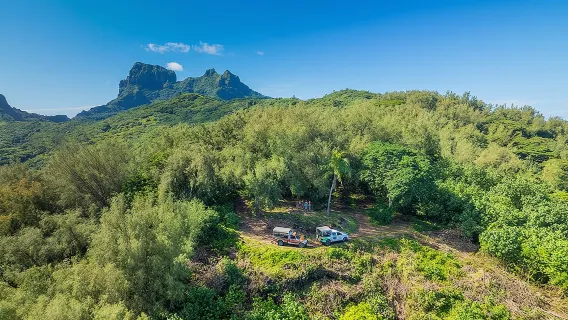 Bora Bora: Tours de safari por la isla en 4x4 de medio día