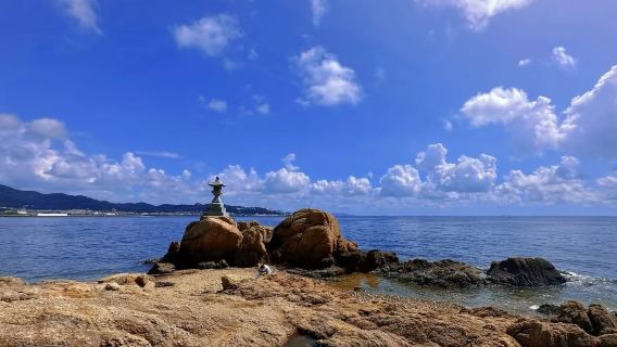 日本名古屋城+東山植物動物園一日遊【中文服務/行程定制】