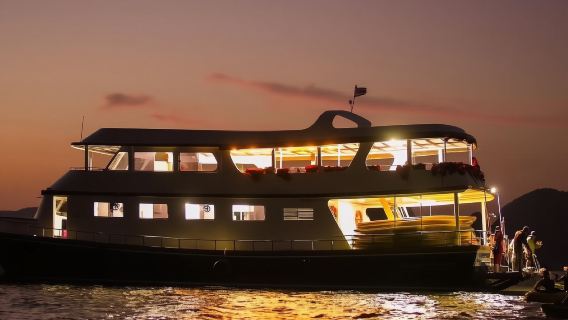 Parque Nacional de la Bahía de Phang Nga, Phuket: Kayak, Festival de las Linternas y búsqueda de plancton bioluminiscente