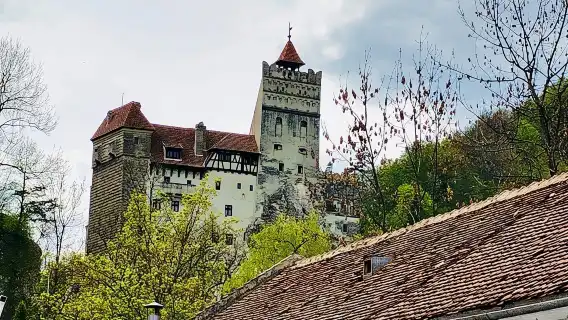 1 Day Castles Tour - Sinaia and Bran