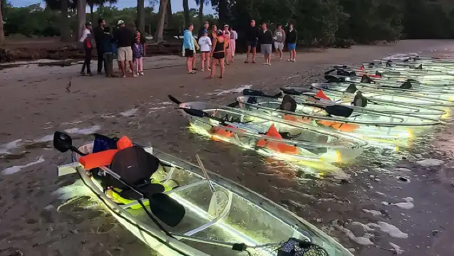  Anna Maria Island - Clear Kayak LED Night Glass Bottom Tour 