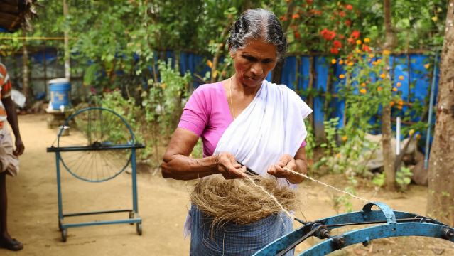 Backwater Tour from Cochin 