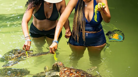 Nuota con le tartarughe al The Lagoons Zanzibar & Stone Town Tour