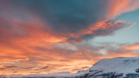 Kiruna: gita di un giorno ad Abisko e Björkliden con pranzo
