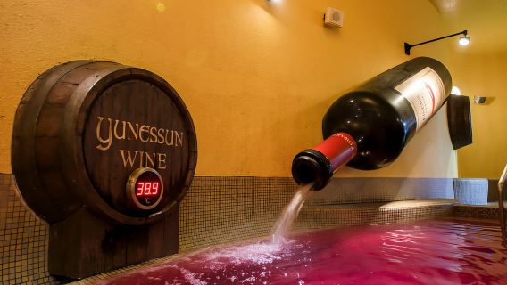 Входной билет на горячие источники Ковакиен Юнессун