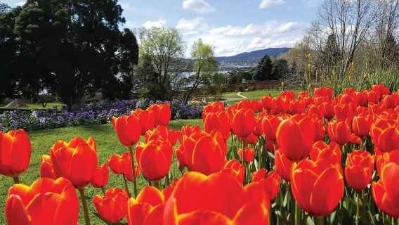 Hobart: recorrido turístico de 3 horas por la ciudad