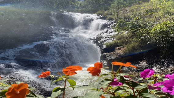Depuis Nha Trang : Excursion de luxe à Da Lat, site incontournable
