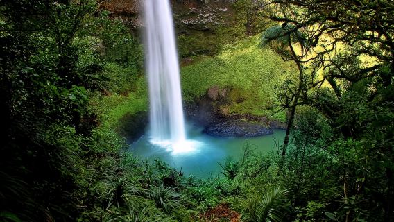 Pas Arthur: Lawatan Hari Kereta Api TranzAlpine dan Castle Hill