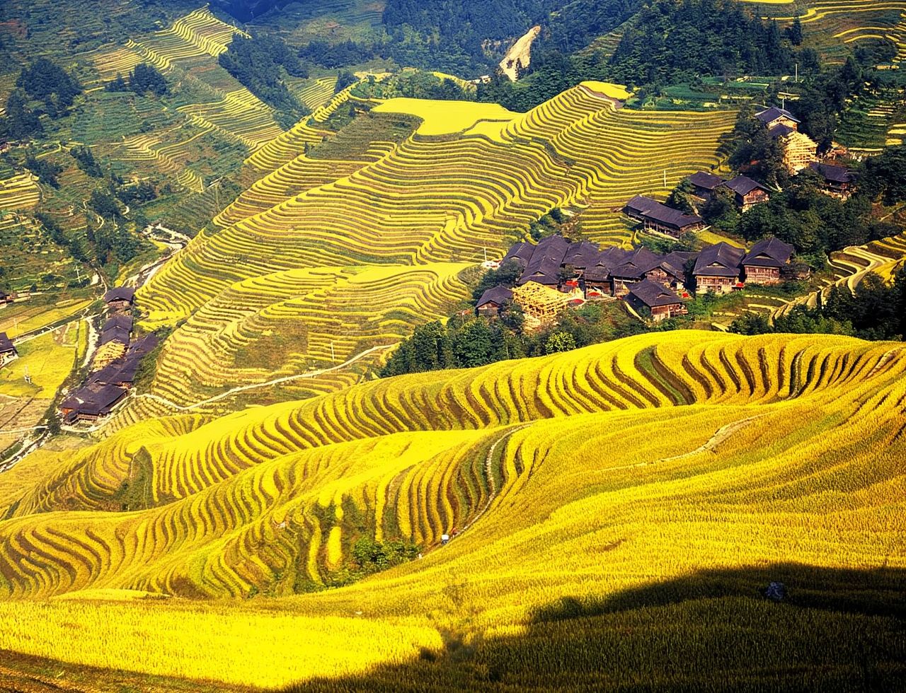 Guilin Longji Rice Terraces Day Tour (Business van service+Entrance Ticket Included)