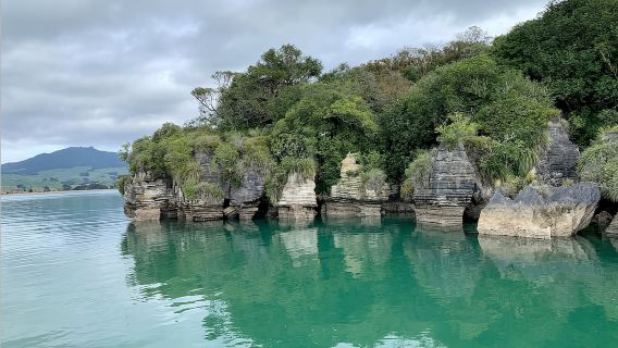 Raglan: Scenic Nature Boat Cruise