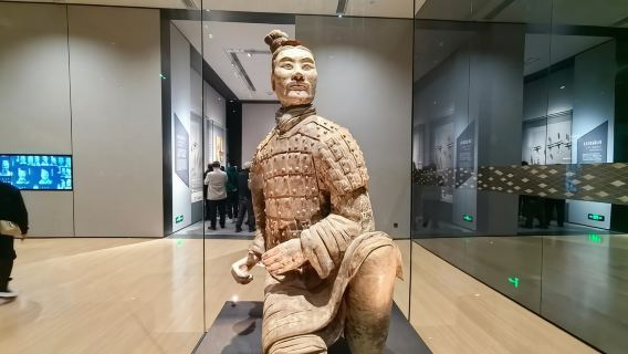 Biglietto d'ingresso elettronico per l'Esercito di terracotta con trasferimento o guida opzionali