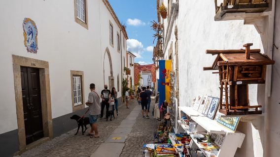 Óbidos: Private & Flexible Walking Tour in Medieval Town