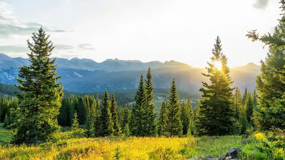 From Denver: Red Rocks and Foothills Half-Day Guided Tour
