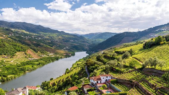 Porto: Douro-Tal-Weintour mit Mittagessen, Verkostungen und Kreuzfahrt
