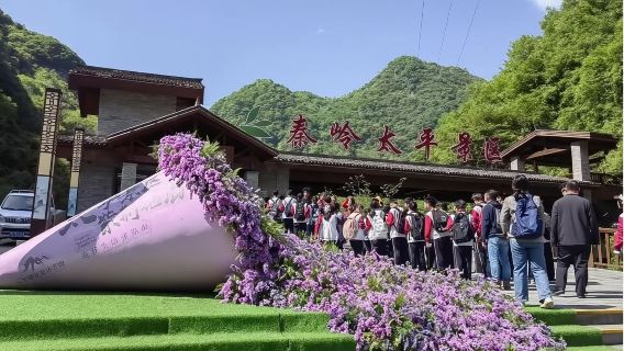 【接駁車】太平國家森林公園一日遊