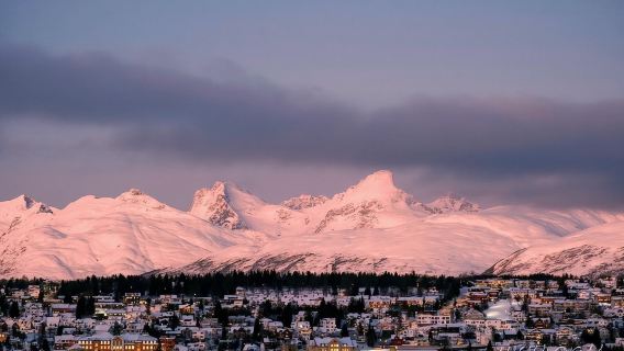 挪威特羅姆瑟-專業追光團隊-夜間追極光-包車/跟小團-可定制