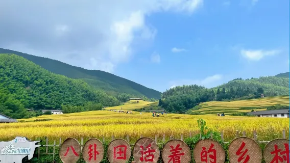 Tagesausflug zu den Reisterrassen von Shangbao und dem Wanchang-Berg in Ganzhou, Jiangxi mit chinesischem und englischem Service, Ticket nicht inbegriffen
