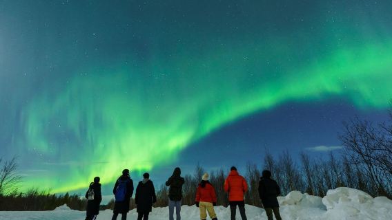 極光+破冰船+博物館-俄羅斯/摩爾曼斯克-1日遊