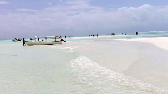 Zanzibar: Mnemba Island Snorkeling and Dolphin Adventure