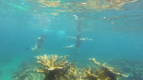 Snorkeling on The Caribbean side of Panama