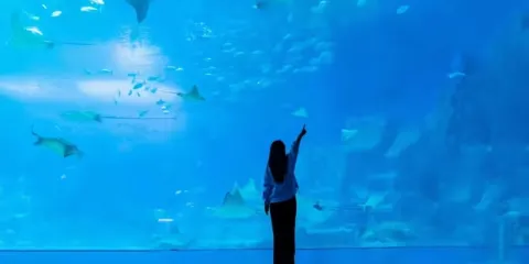 珠海Trip Moments【珠海長隆跟拍旅拍+底片全送+精修+包含攝影師門票】