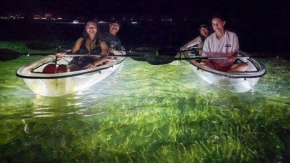 Sarasota - Clear Kayak LED Night Glass Bottom Tour