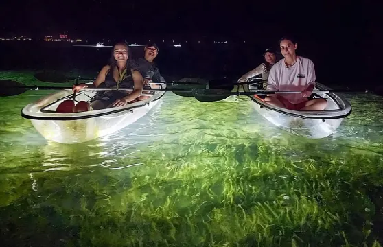 薩拉索塔 - 透明皮划艇 LED 夜間玻璃底之旅