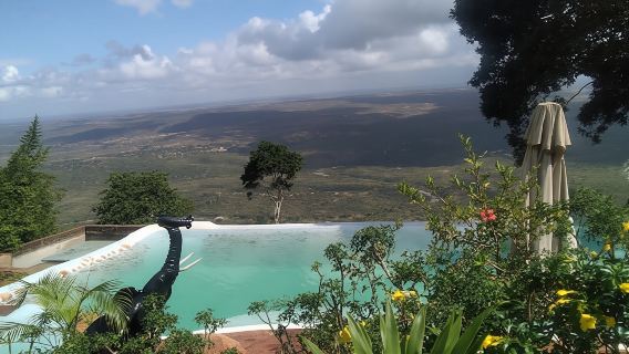 Shimba Hills 1-day tour with Sheldrick Falls hike from Mombasa