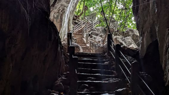 胡椒種植園+Kep Crab Market一日遊