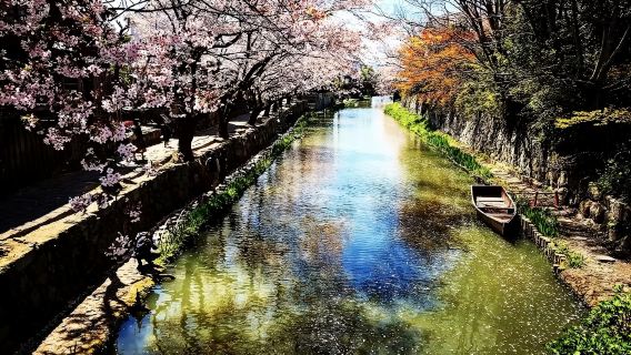 京都日遊
