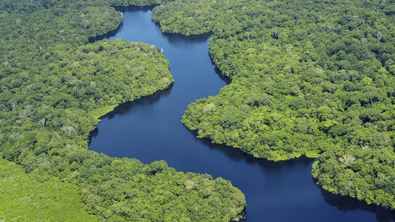 1-day tour to the Amazon river from Manaus, Brazil - 12-person small group/pink river dolphin/two rivers meeting point