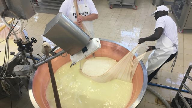 Tasting and Biking Parma