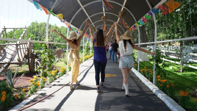 Tour to Lake Chapala, MAGIC TOWN of Ajijic from Guadalajara
