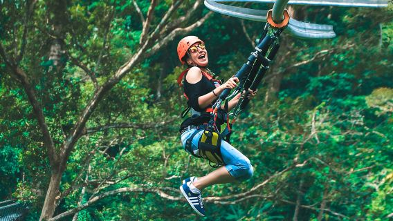 Excursión de un día a Chiang Mai: Jungle Flight JF + Safari Nocturno con almuerzo incluido