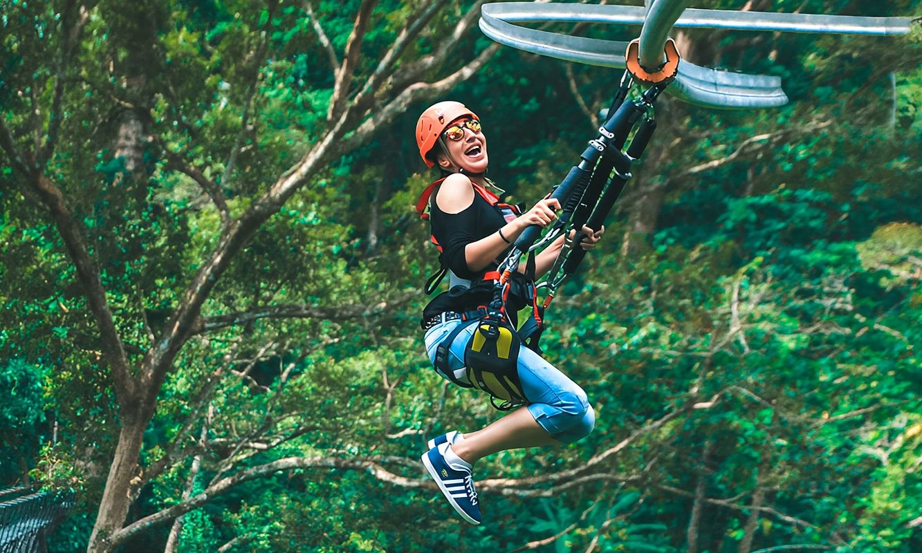 Chiang Mai JF Jungle Flight + Safari notturno allo zoo selvatico tour di un giorno con pranzo incluso