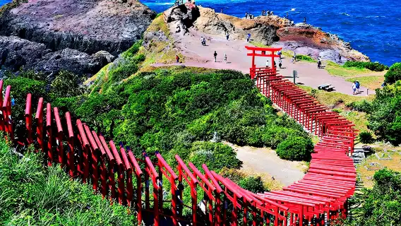 Japan Kitakyushu Moji Port + Karato Market one-day tour[Daily Tour|Chinese and English drivers