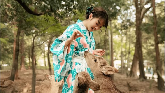 日本京都奈良一日遊 奈良公園+稻荷大社【經典小團|可選接駁】