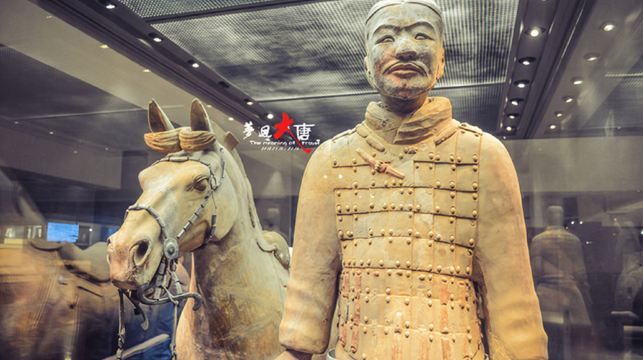 秦始皇帝陵博物院（兵馬俑）+麗山園+赳赳大秦+中/英文導遊一日遊