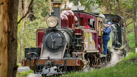 Melbourne Puffing Billy Steam Railway and Phillip Island one-day tour[English Tour | Penguin Island]