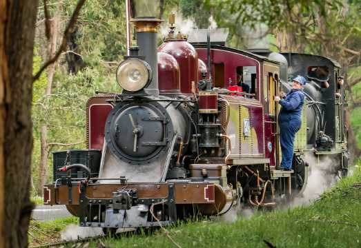 Melbourne Puffing Billy and Phillip Island Day Tours Guide