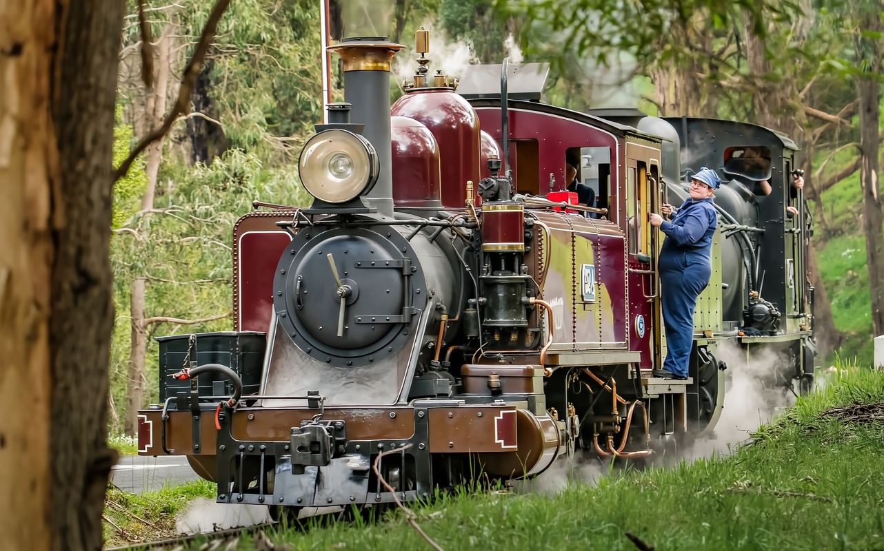 メルボルン パッフィンビリー鉄道+フィリップ島 ワンデーツアー【英語ガイド付き品質ツアー|ペンギン島】