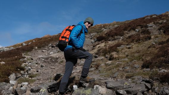 Edinburgh: Chuyến đi bộ đường dài ngắm bò vùng cao nguyên