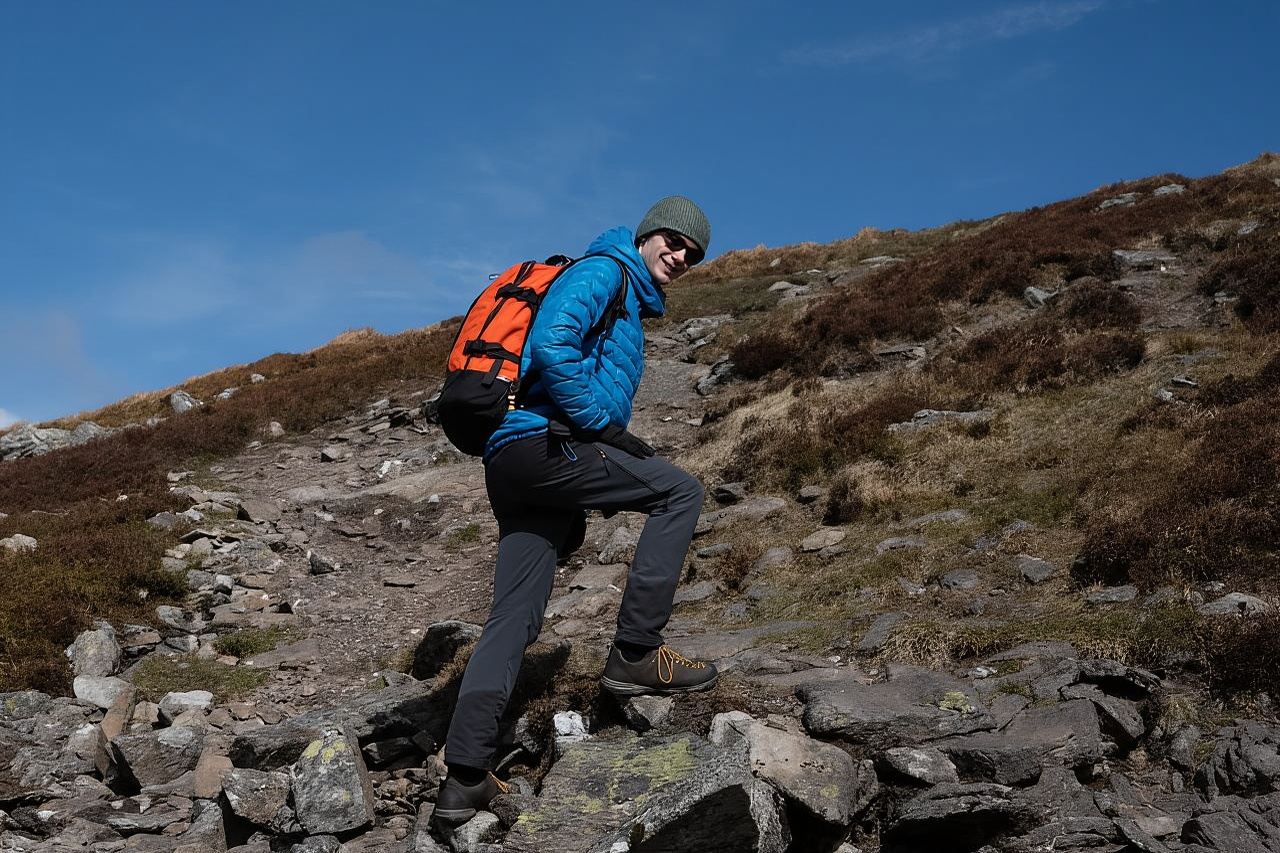 Edinburgh: Highland Cows and Mountain Views