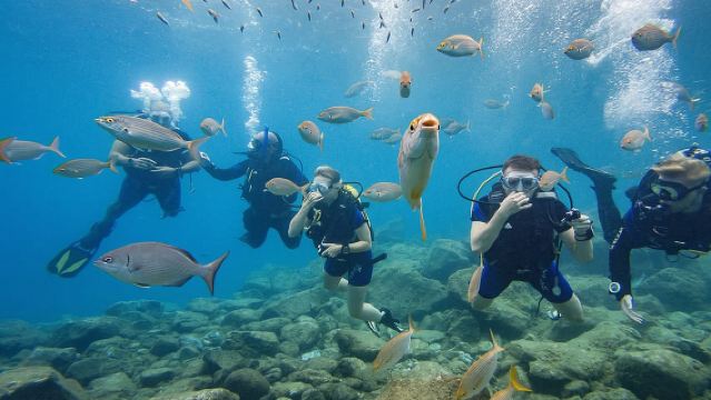 テネリフェ:初心者向けスキューバダイビング体験