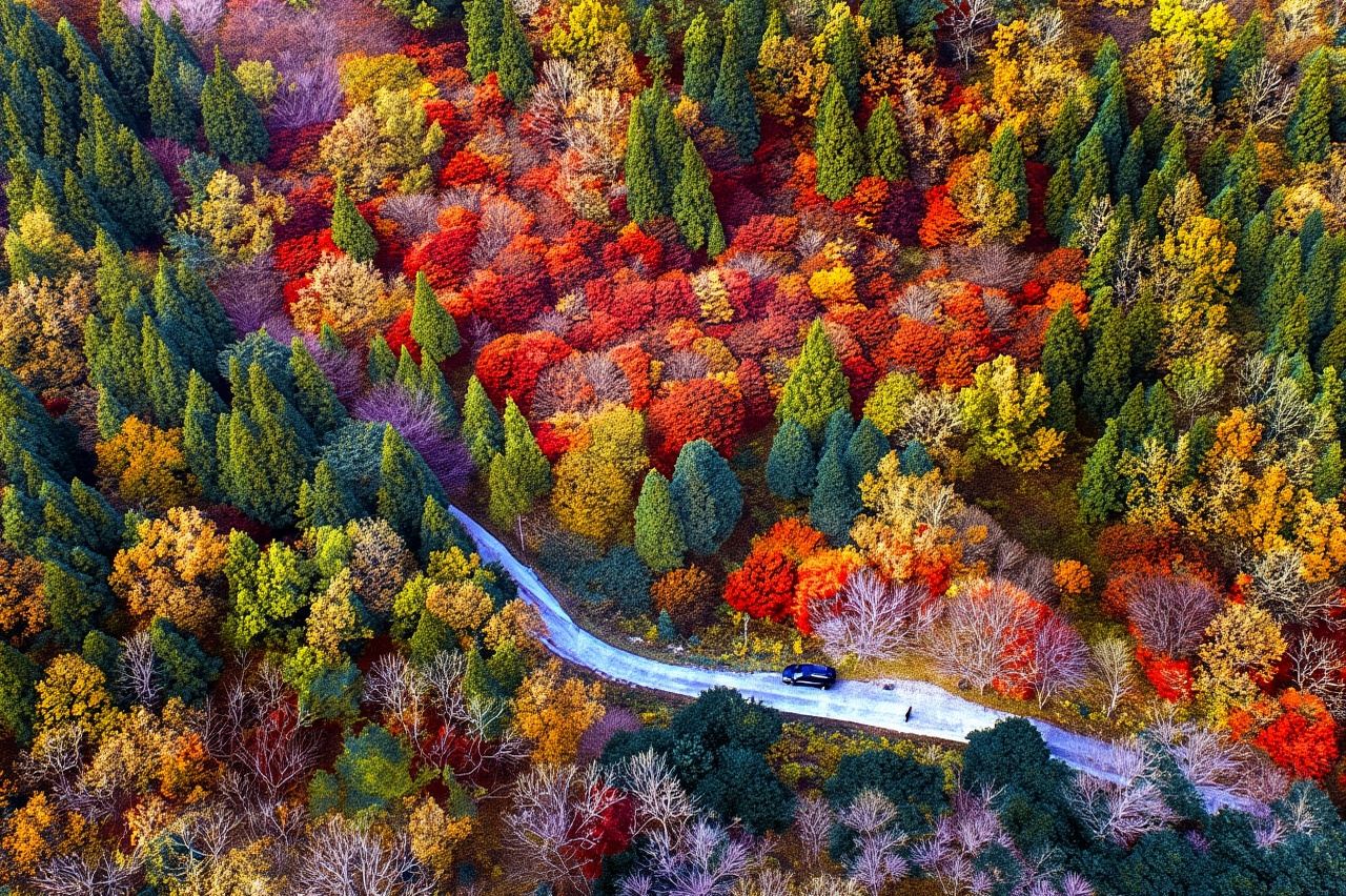 ソウル発：雪岳山と洛山寺日帰り旅行
