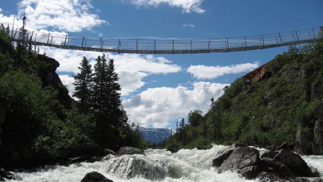 Из Скагуэя: экскурсия по проездному Уайт-Пасс и подвесному мосту Юкона.