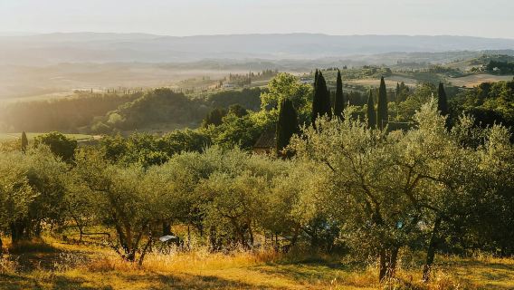 Florence oleh E-Bike: Hidden Hills & Local Thrills