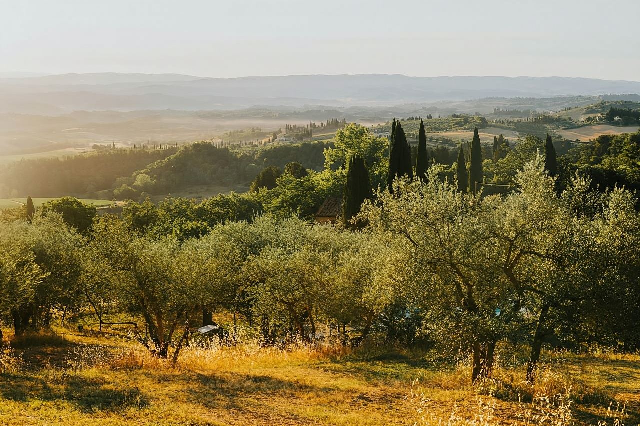 Florence by E-Bike: Hidden Hills & Local Thrills