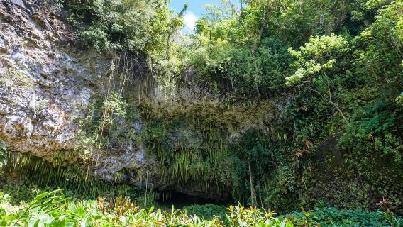오아후 출발: 카우아이 와이메아 캐년 & 와일루아 강 투어